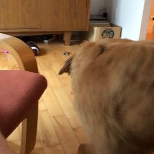 Meet your Posher, Jean-luc